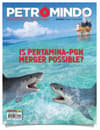 PETROMINDO VOLUME 63