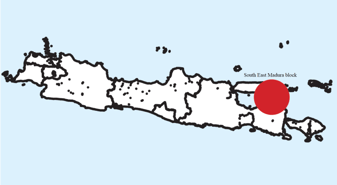 Two candidates compete to acquire East Java gas block